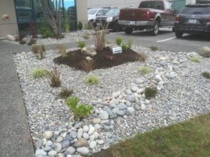 Gravel & Soil Installation