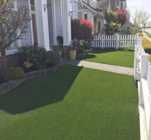 Synthetic Turf Installation