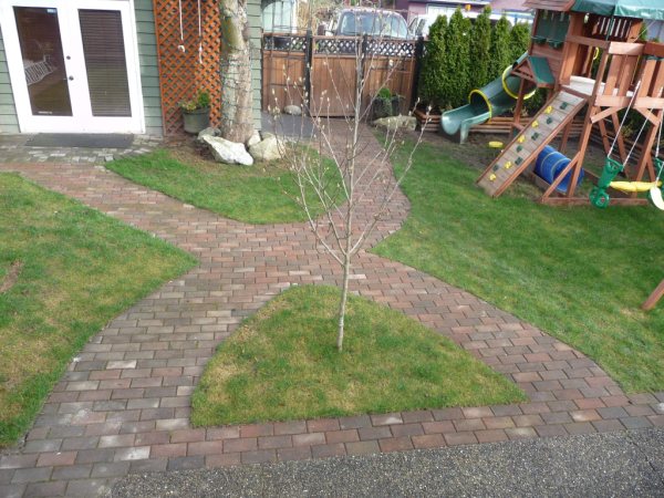 Backyard with stone path across lawn-Landscaping Ideas