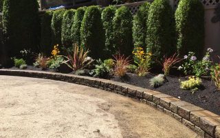 Neatly maintained garden bed plants and trimmed hedges